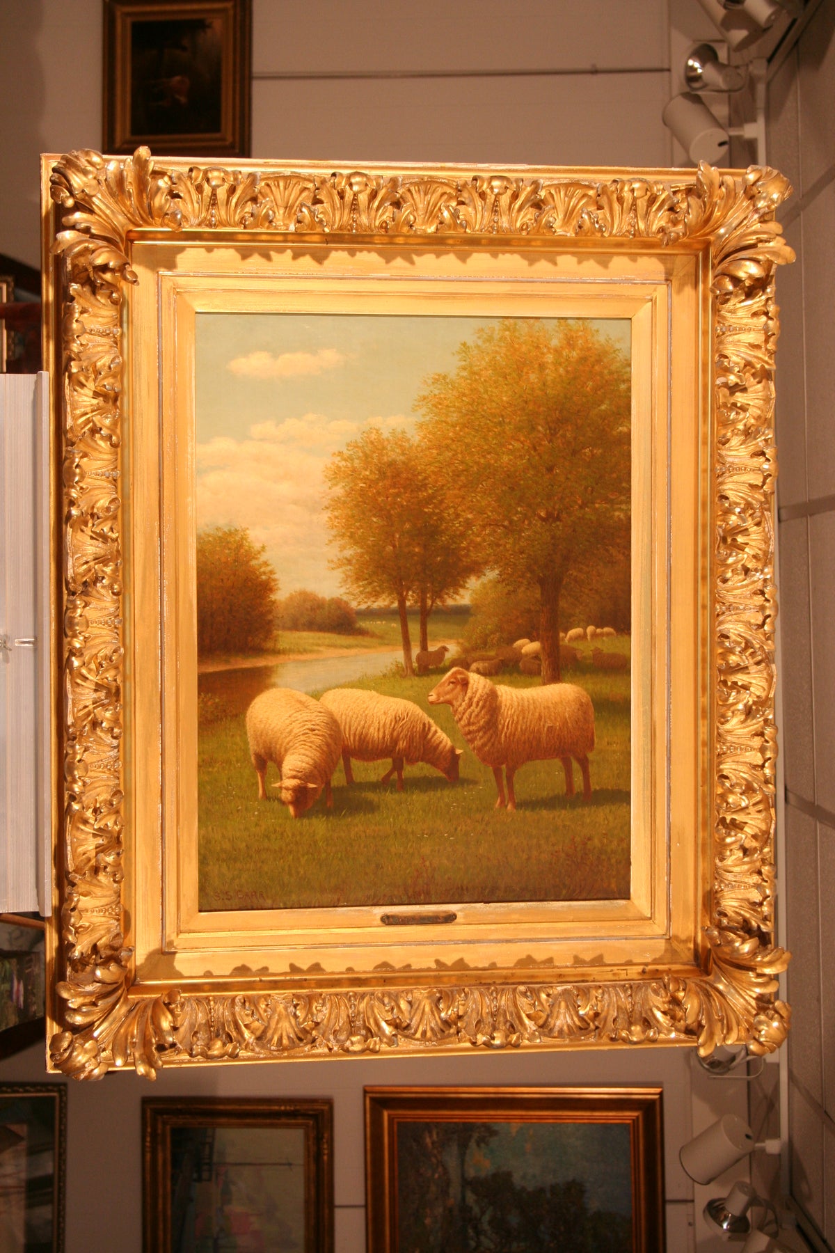 Samuel S. Carr | Sheep