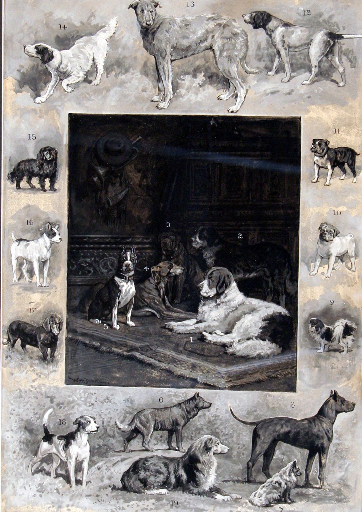 William Drake | Types of Dogs