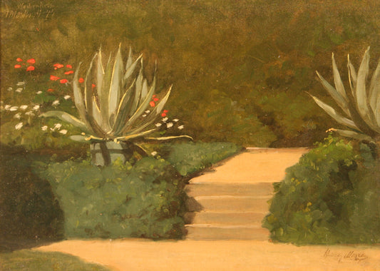 Henry Molser | Aloe Plants