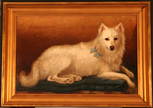 William Mason Brown | Blue Champion