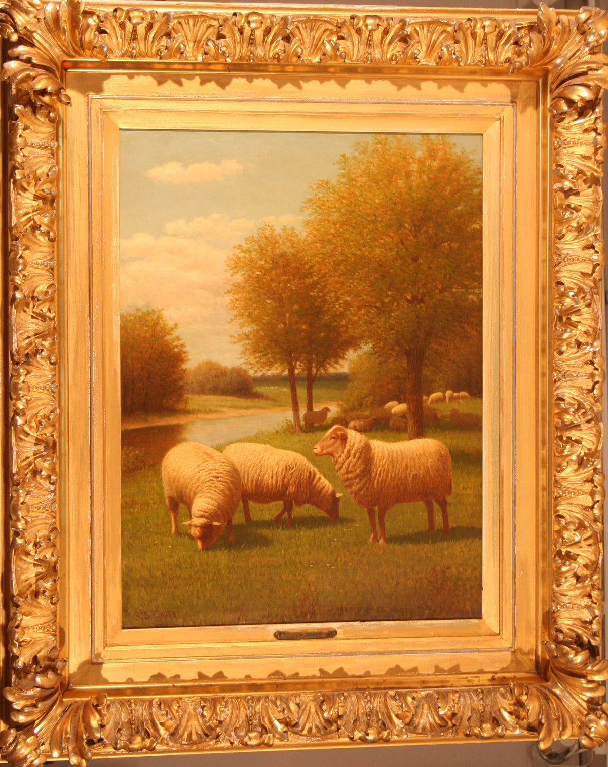 Samuel S. Carr | Sheep