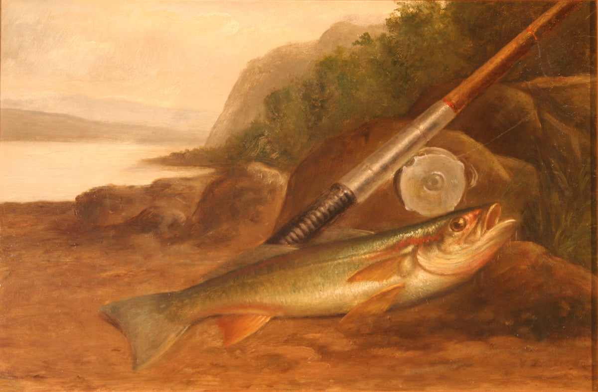 Arnold Wydeveld | Trout