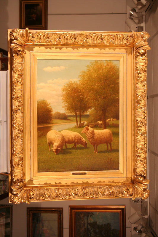 Samuel S. Carr | Sheep