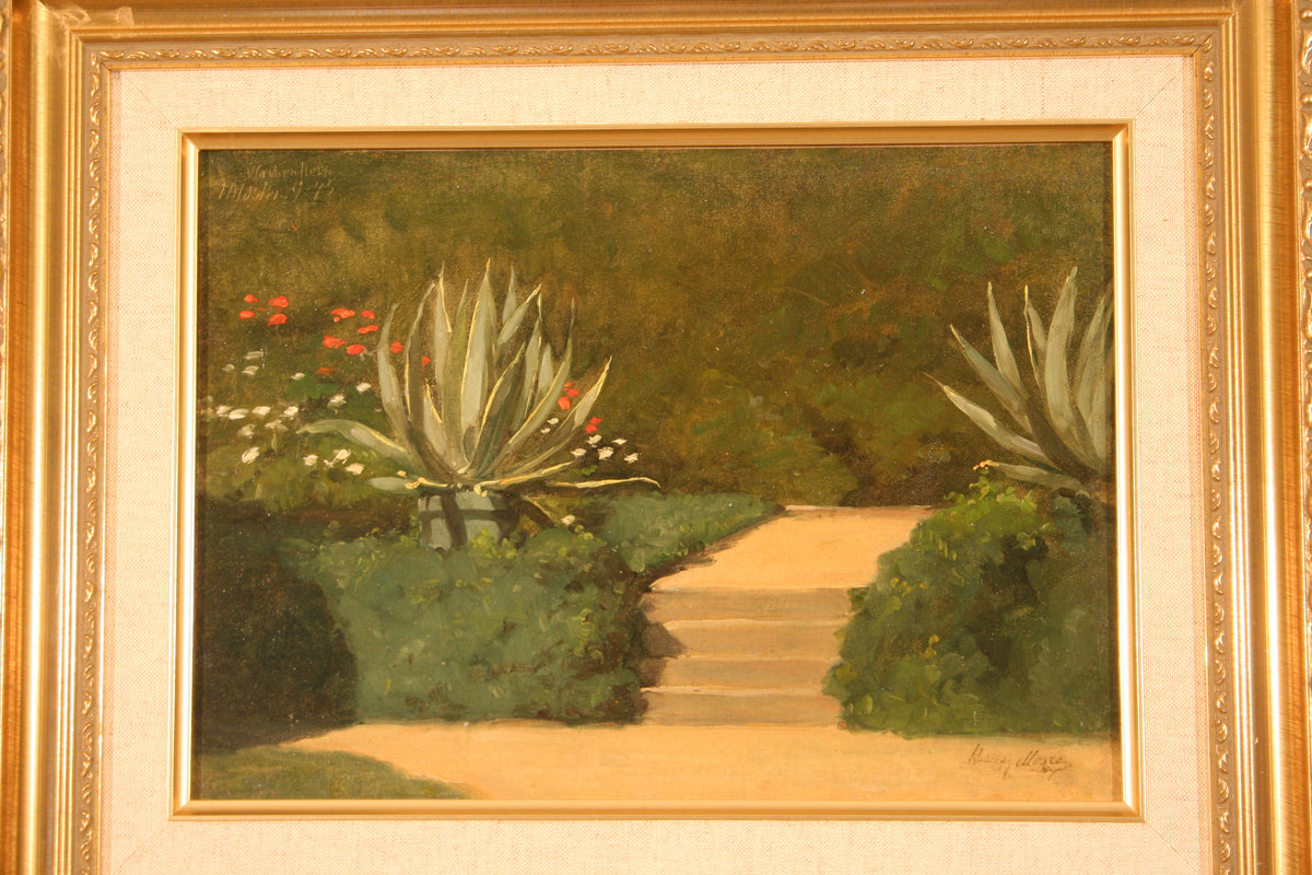 Henry Molser | Aloe Plants